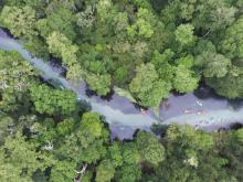 Kayakers going down a river in a forest