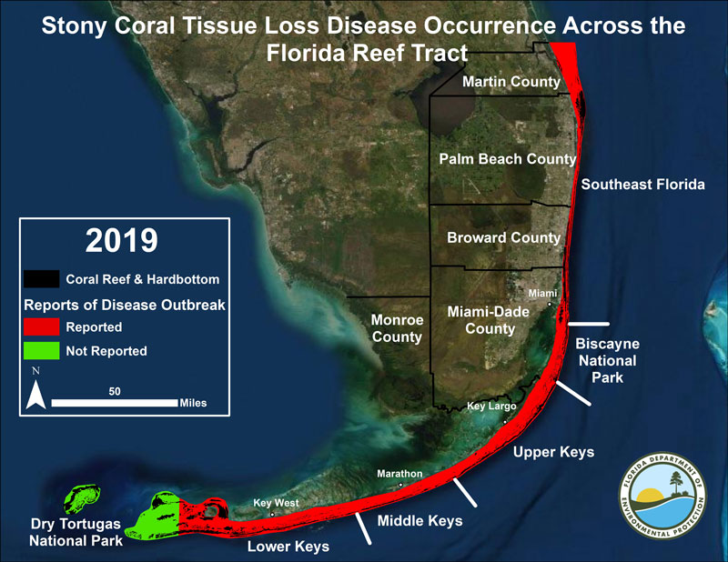 Progression of Stony Coral Tissue Loss Disease along the Florida Reef Tract as of 11-7-19