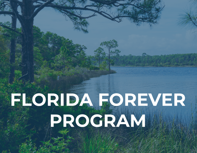 Florida Forever is the premier conservation and recreation lands acquisition program, a blueprint for conserving natural resources and renewing...