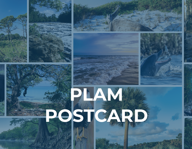 PLAM provides the conservation community with opportunities to connect and collaborate with others who share the vision of protecting the unique...