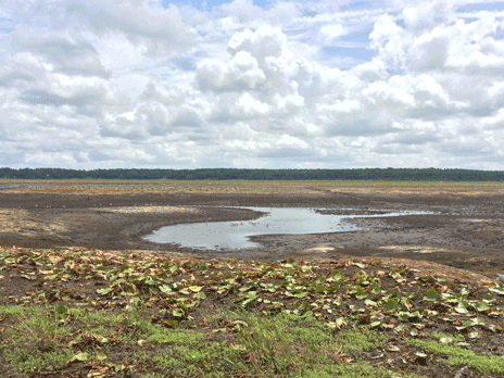 Remaining pools of water, just south of Porter Hole Sink on Lake Jackson June 7, 2021