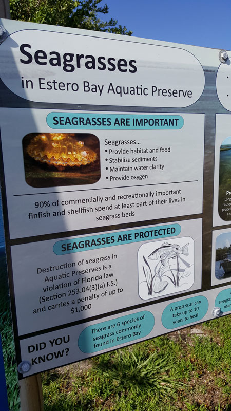 seagrass aquatic preserve
