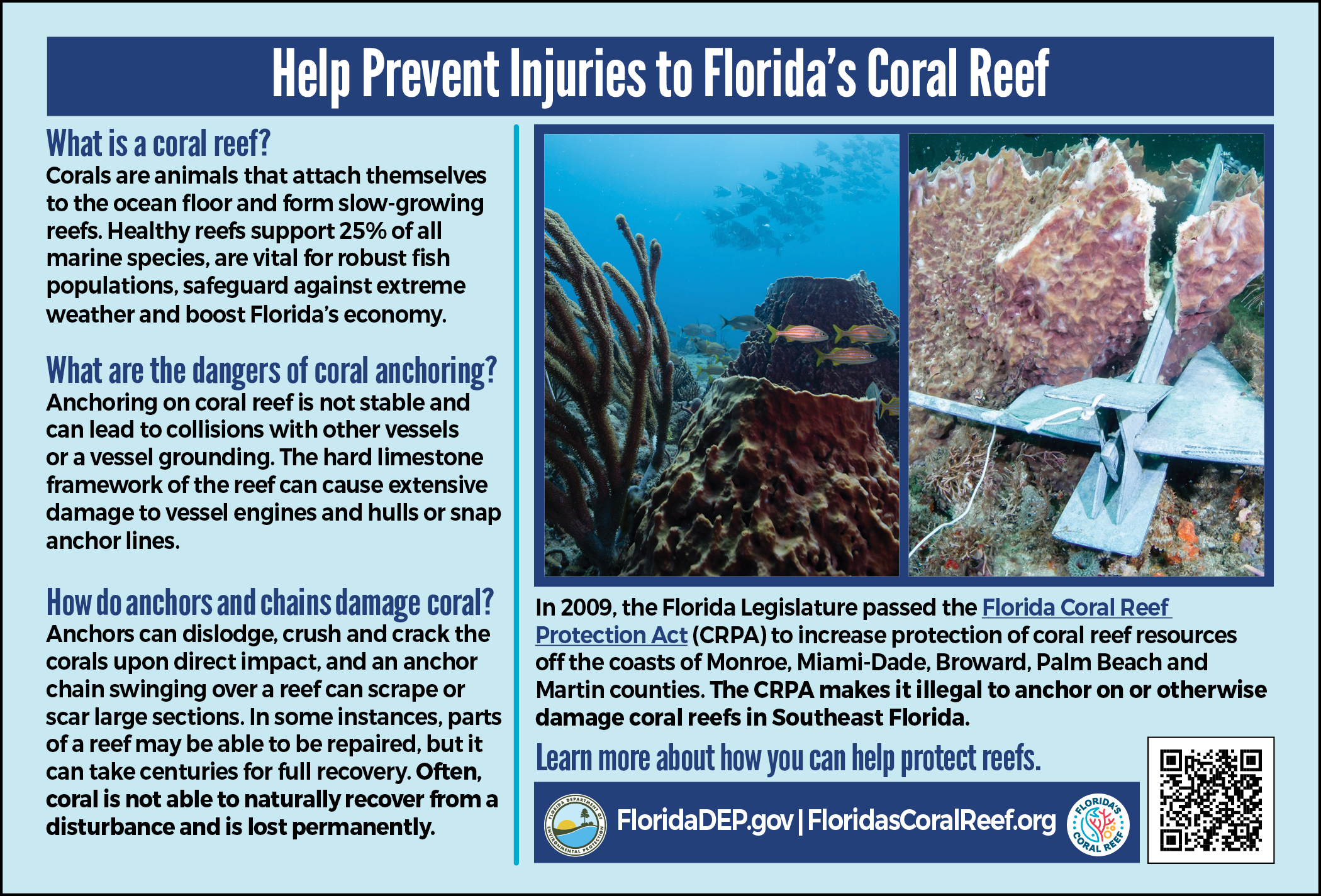 Help Prevent Injuries to Florida's Coral Reef, half page ad
