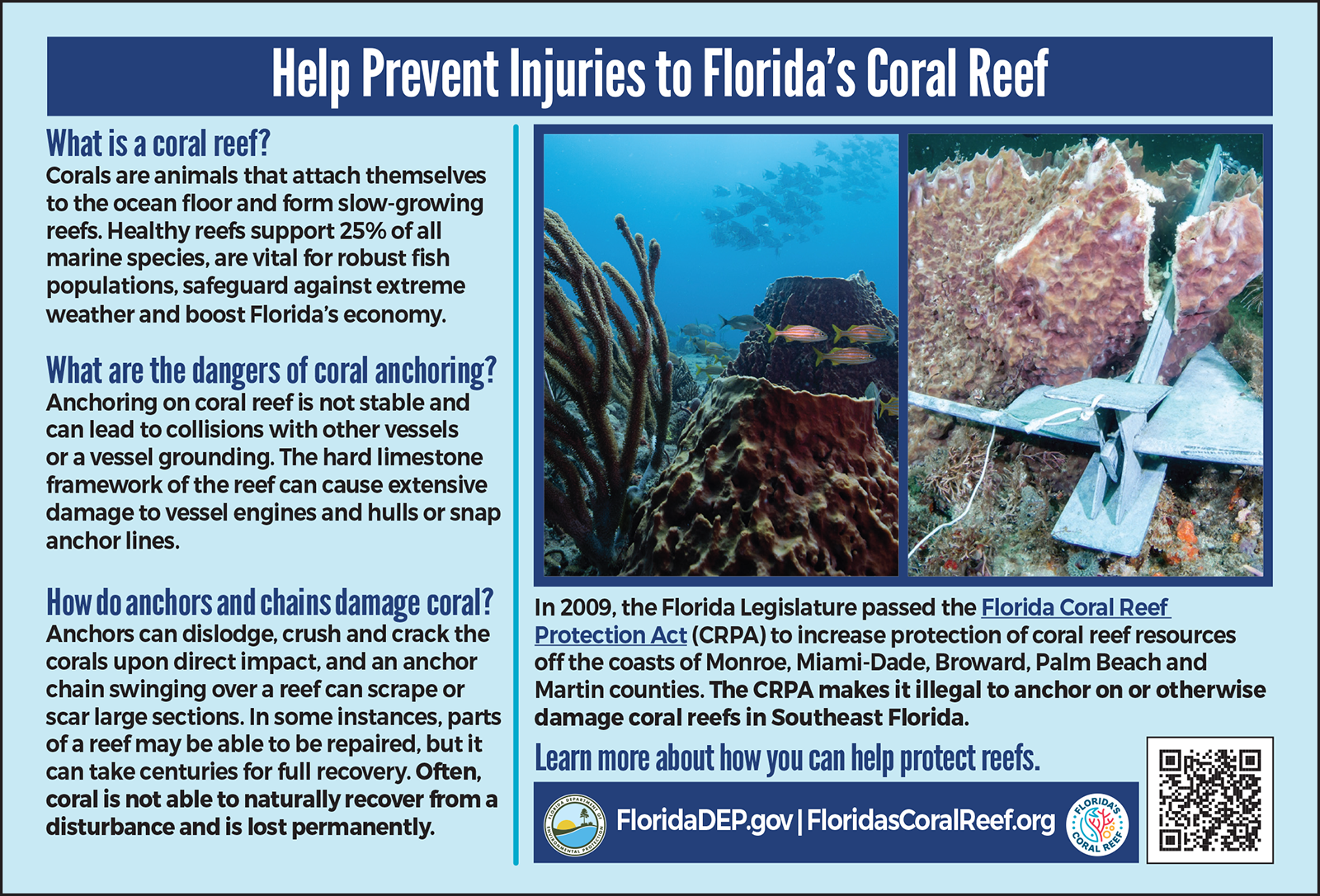 Ad for coral reef injury prevention