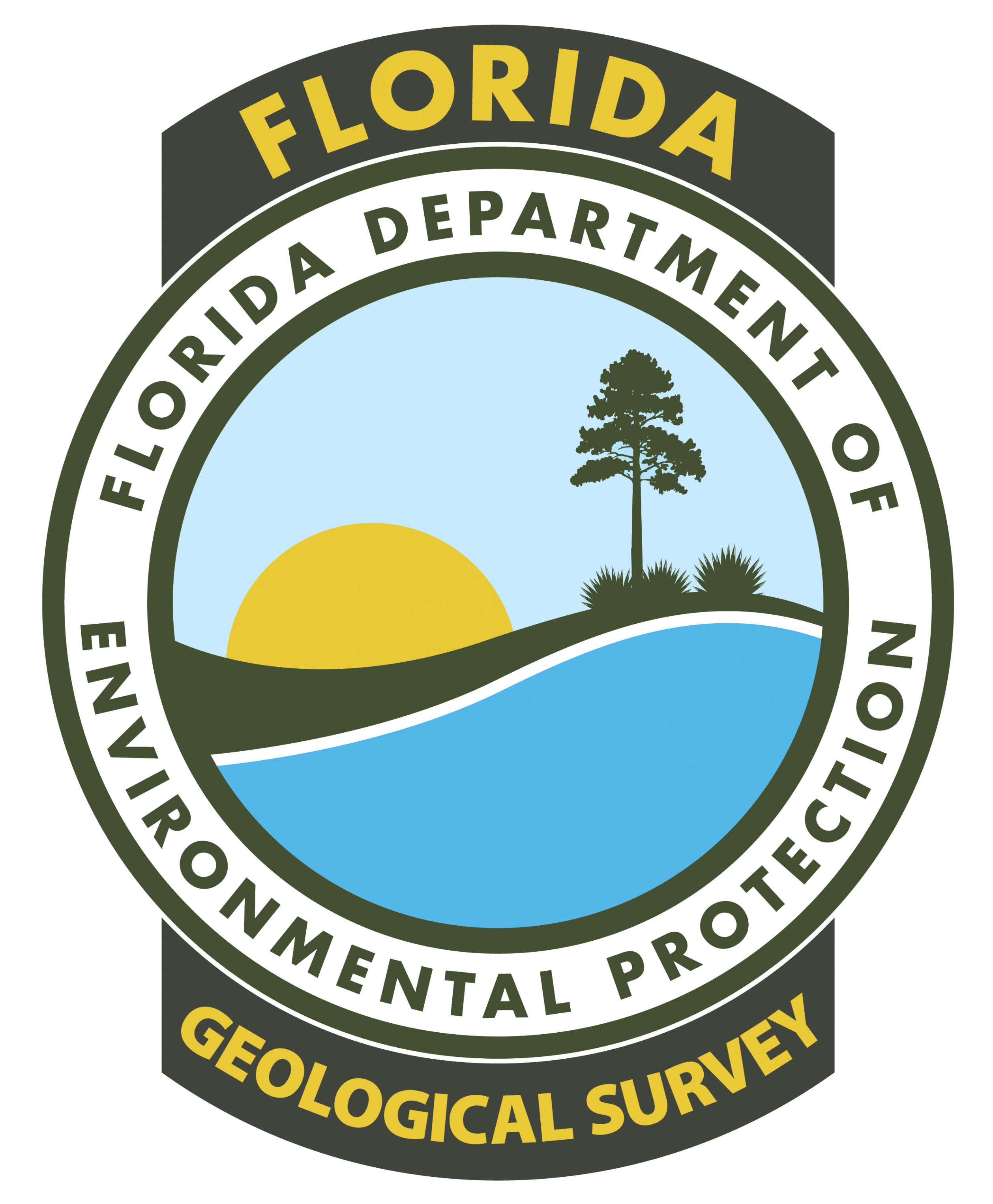 DEP-FGS logo 2018