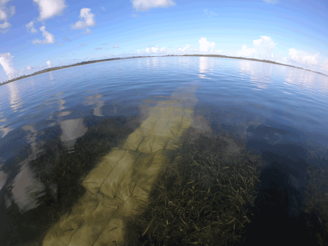 Sediment tubes are used to restore propeller scars and enhance the restoration of seagrasses in St. 