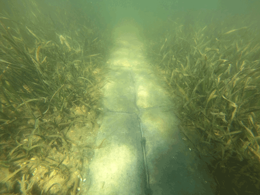 Sediment tubes are used to restore propeller scars in shallow seagrass beds