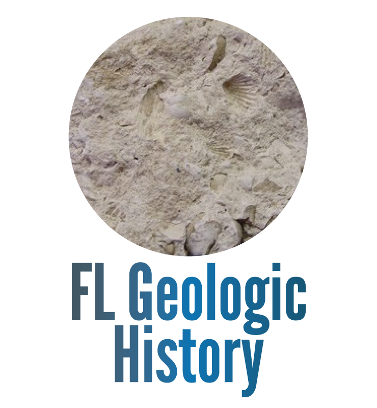 Florida Geologic History