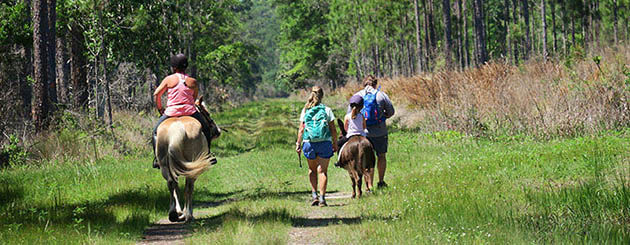 Hikers and equestrians on trail on unpaved road