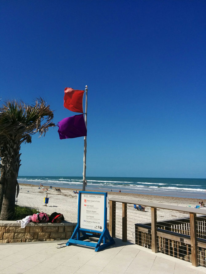 Beach Safety Flags flying near Ormond Beach, FL