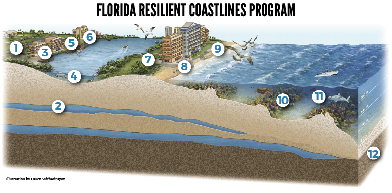 Resilient Coastlines Graphic