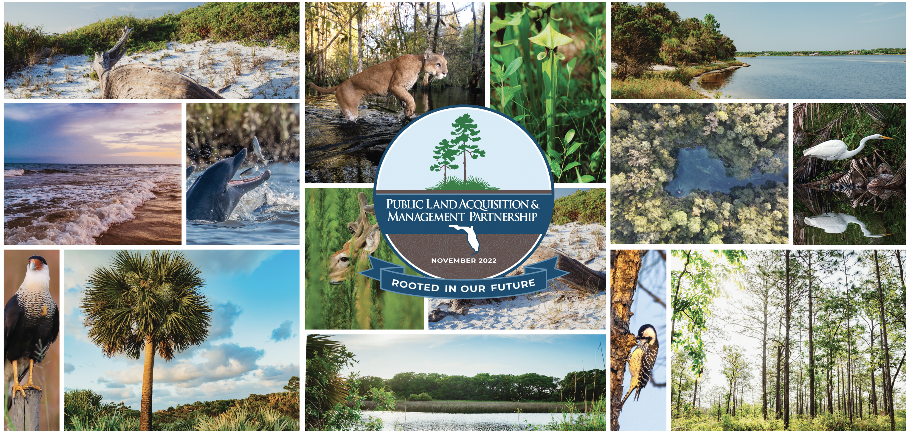Public Land Acquisition and Management Partnership (PLAM) - Rooted in Our Future