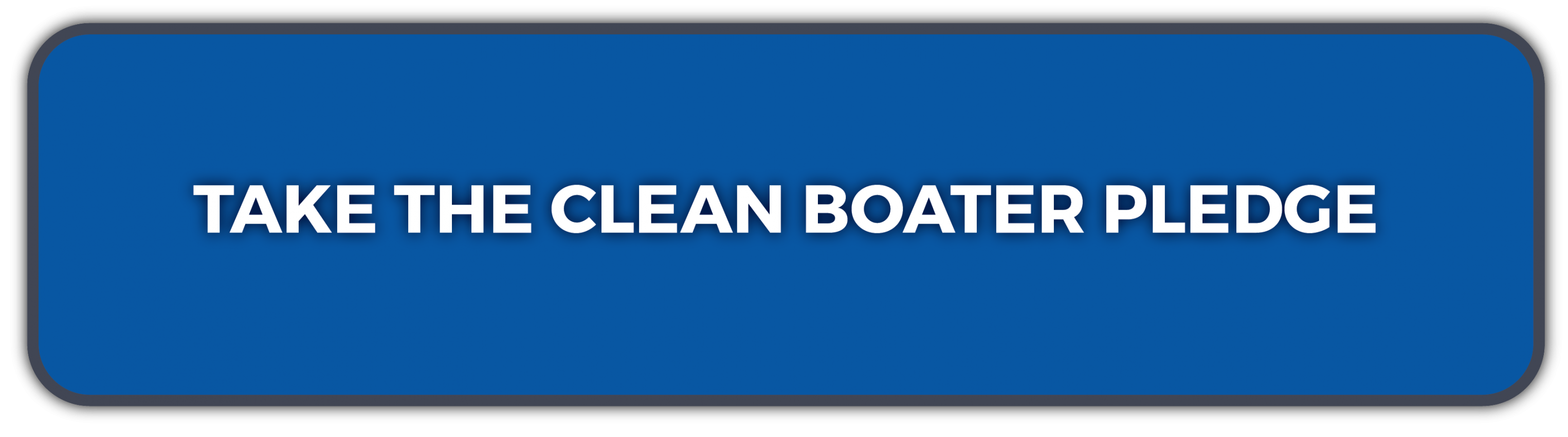 Clean Boater Pledge button