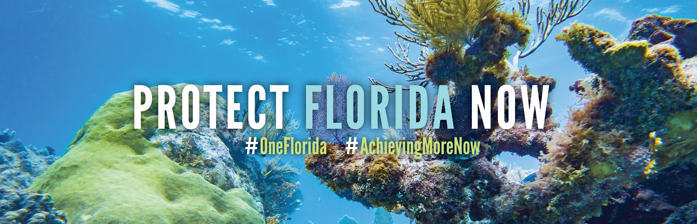 Protecting Florida Now Banner
