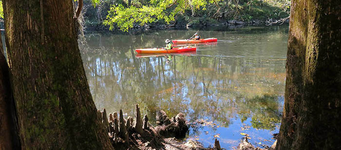 Paddlers on the Withlacoochee River North