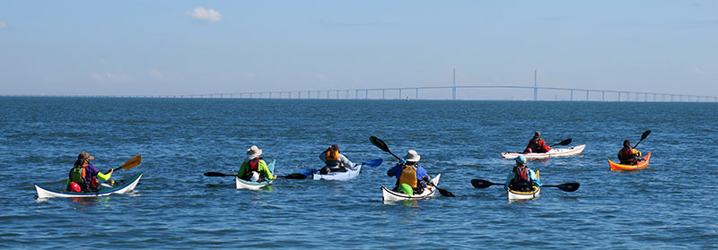 Kayakers on Tampa Bay