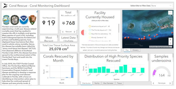 screenshot_coral_monitoring_dashboard – created by DEP employee; “Screenshot of a web-based tool summarizing the coral disease response”
