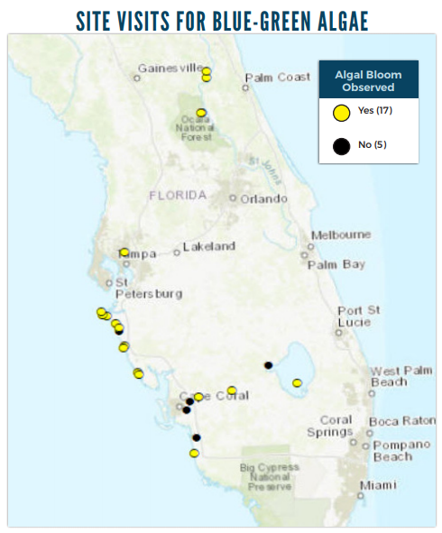 30 Florida Algae Bloom Map - Map Online Source