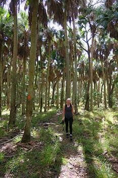 Anna Hopkins walks through the Cathedral of Palms on Florida Trail by Doug Alderson