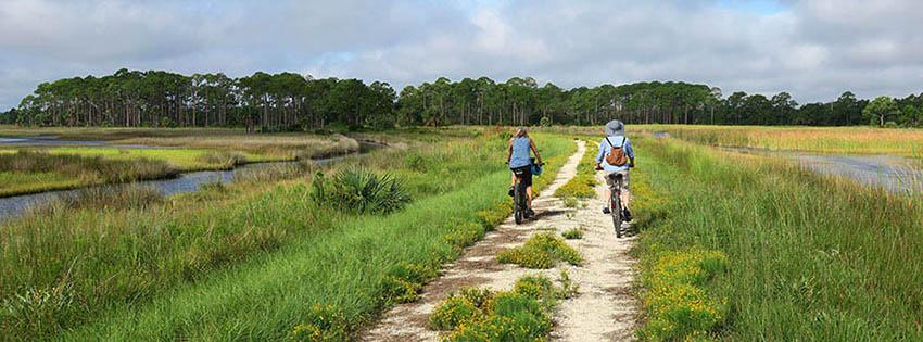 Two people riding bicycles on the St. Marks Refuge by Doug Alderson