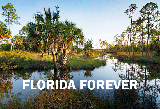 Florida Forever Homepage