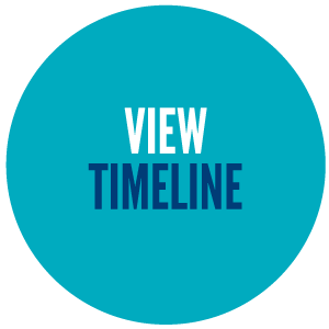 View Timeline