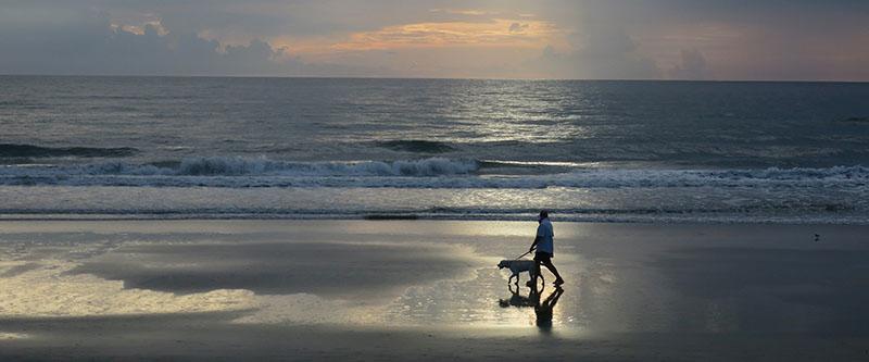couple walking on beach with dog by Doug Alderson